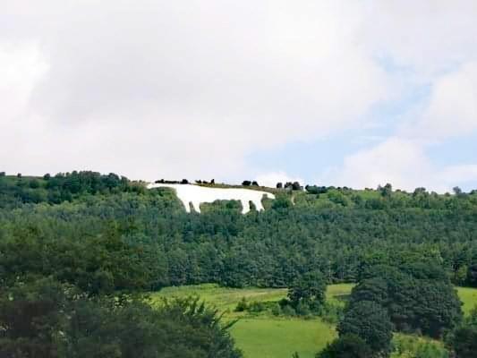 Grange Farm Lodge ริปอน ภายนอก รูปภาพ